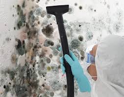 Best Emergency Mold Remediation  in Merrionette Park, IL